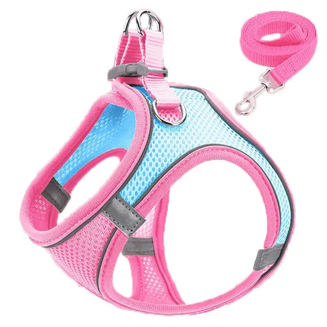 Step-In Cat Harness and Leash Set, Breathable Mesh Vest With Reflective Edges