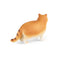 Realistic Ragdoll Cat Figurine and Chubby Cat Model, PVC
