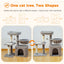 Small Cat Tree for Indoor Cats – 3-Tier Cat Tower with Scratching Posts, Cozy Hammock & Removable Top Perch