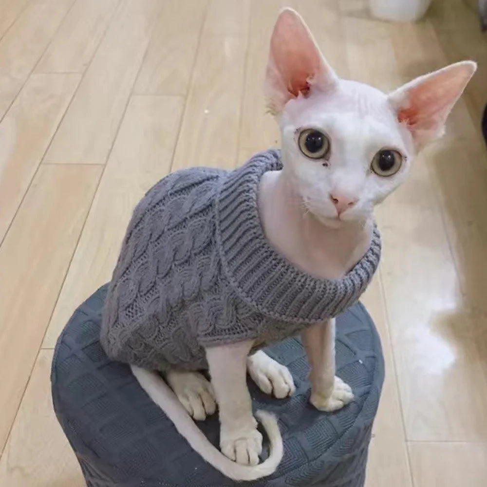 Knit Sphynx Cat Sweater in Solid Colors, Warm Winter Pullover XS to XXL
