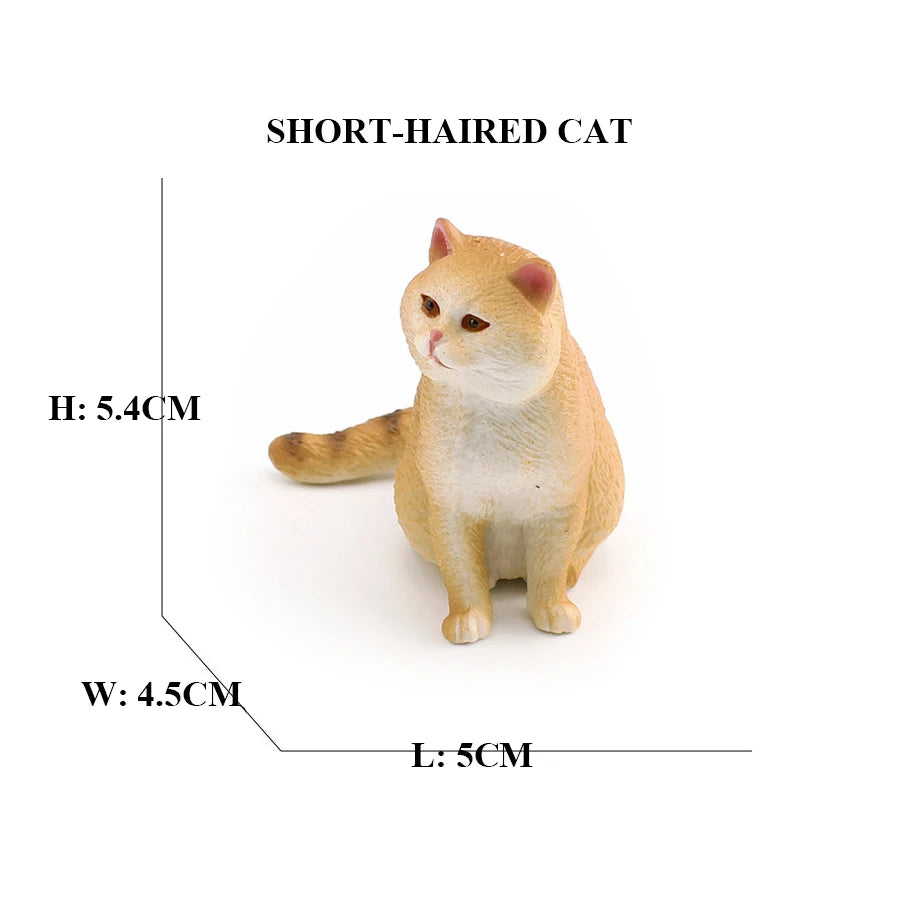 Realistic Ragdoll Cat Figurine and Chubby Cat Model, PVC