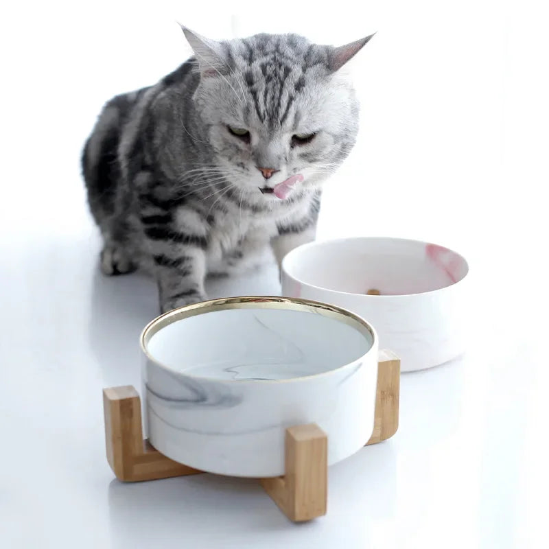 Ciotole per l'acqua per gatti