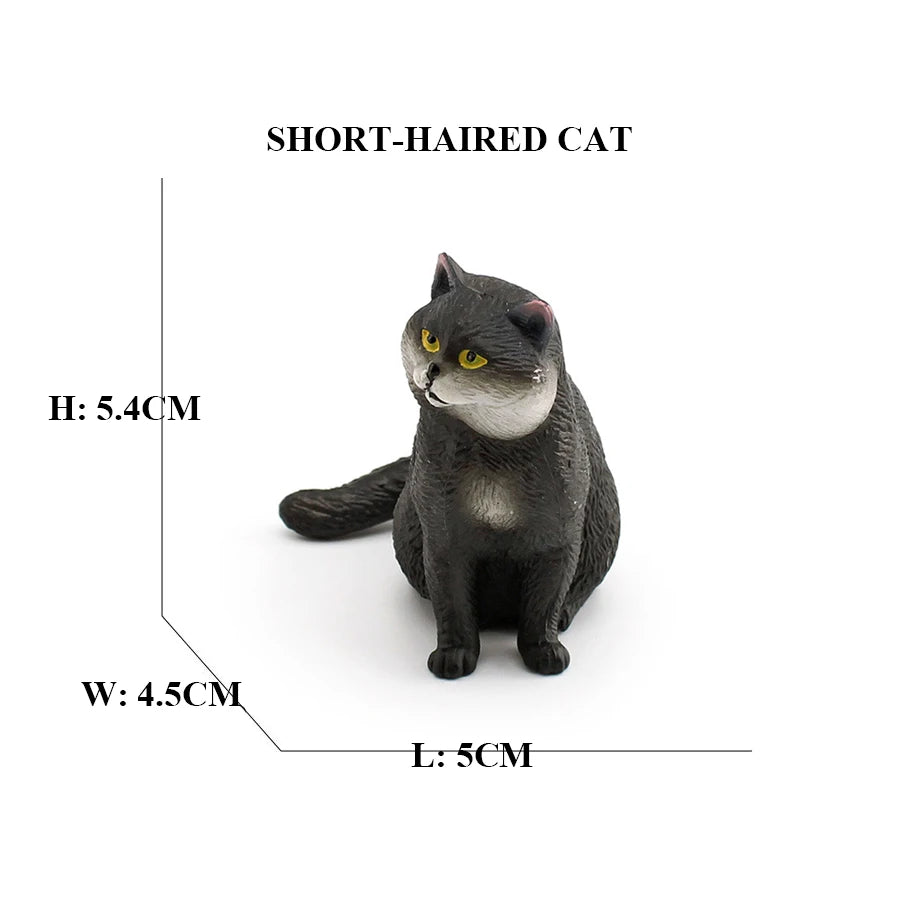 Realistic Ragdoll Cat Figurine and Chubby Cat Model, PVC