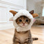 Winter Bear Hood for Cats, Cozy Plush Teddy Bear Hat
