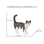 Realistic Ragdoll Cat Figurine and Chubby Cat Model, PVC