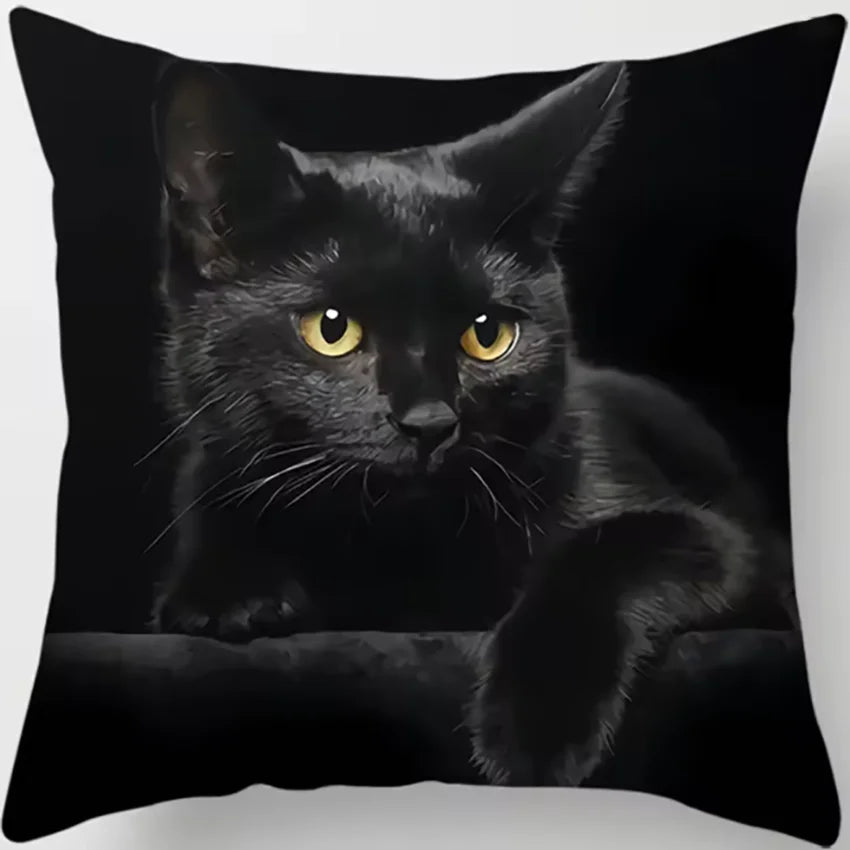 Oreiller chat noir