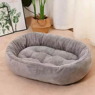 Plush Bolster Cat Bed with Raised Rim in Small and Medium