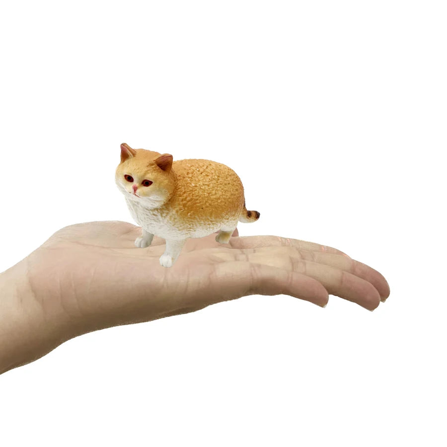 Realistic Ragdoll Cat Figurine and Chubby Cat Model, PVC