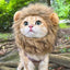 King of the House Cat Lion Mane, Funny Gift for Cat Dads