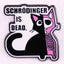 Schrodinger’s Cat Enamel Pin, Funny Physics Cat Badge