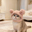 Winter Bear Hood for Cats, Cozy Plush Teddy Bear Hat
