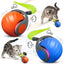 Automatic Rolling Cat Ball With Fuzzy Tail, USB Rechargeable, Blue or Orange