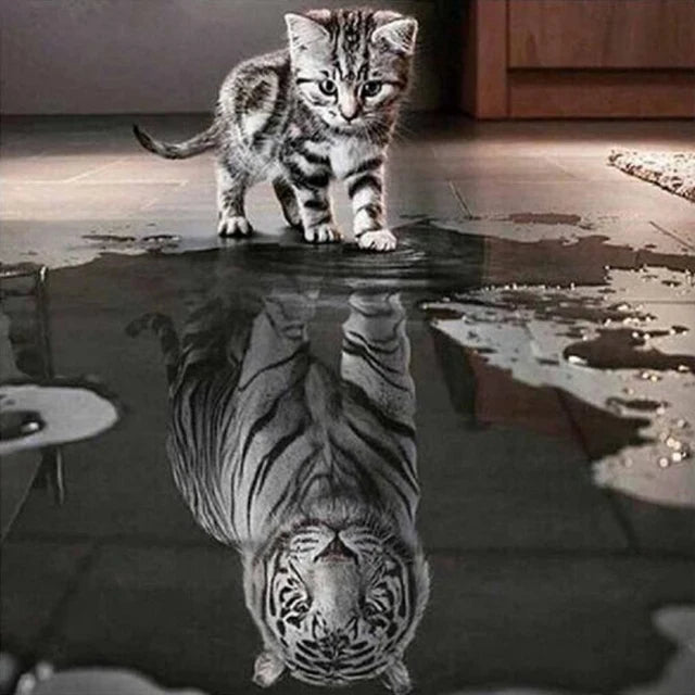 Katzen Wandkunst