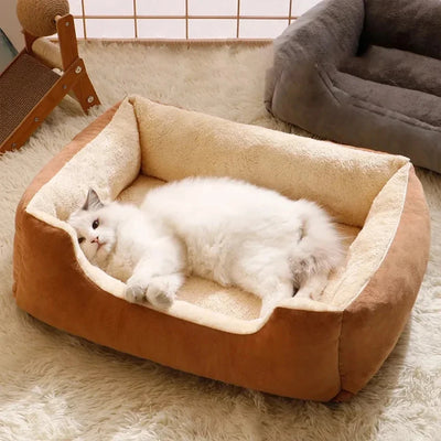 Rectangular Cat Bed with Low Front Entry and Plush Lining