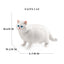 Realistic Ragdoll Cat Figurine and Chubby Cat Model, PVC