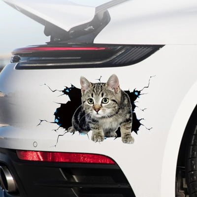 3D Peeking Cat Car Sticker, Funny Kitten Vinyl Decal