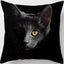 Oreiller chat noir