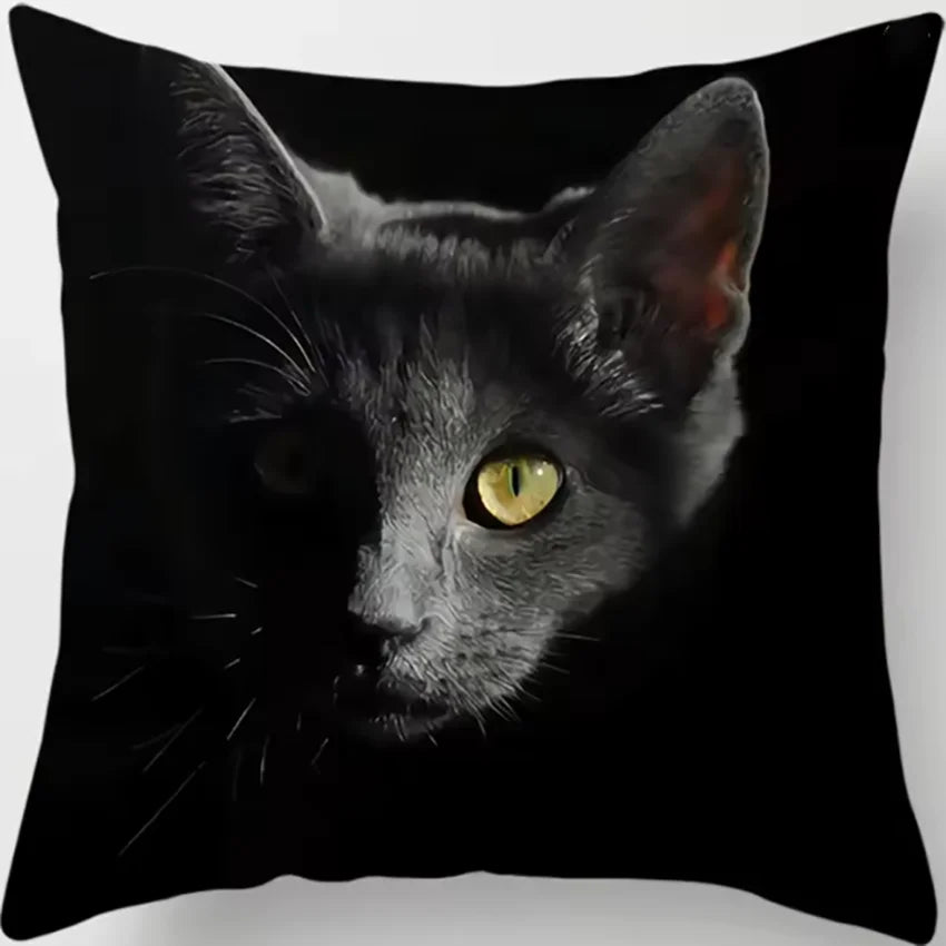 Oreiller chat noir