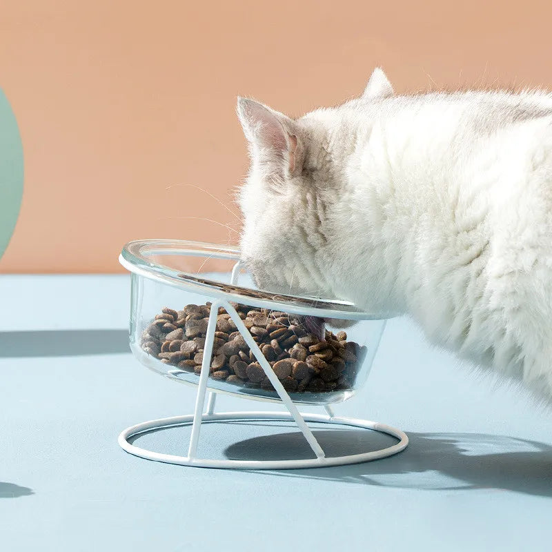 Ciotole in vetro per gatti