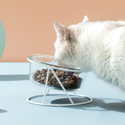 Clear Glass Cat Bowl on a White Iron Stand, Single or Double, Sizes S to L
