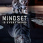 Mindset Is Everything Lion Poster, Motivational Canvas Print