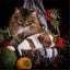 Katzen Wandkunst