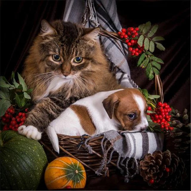 Katzen Wandkunst