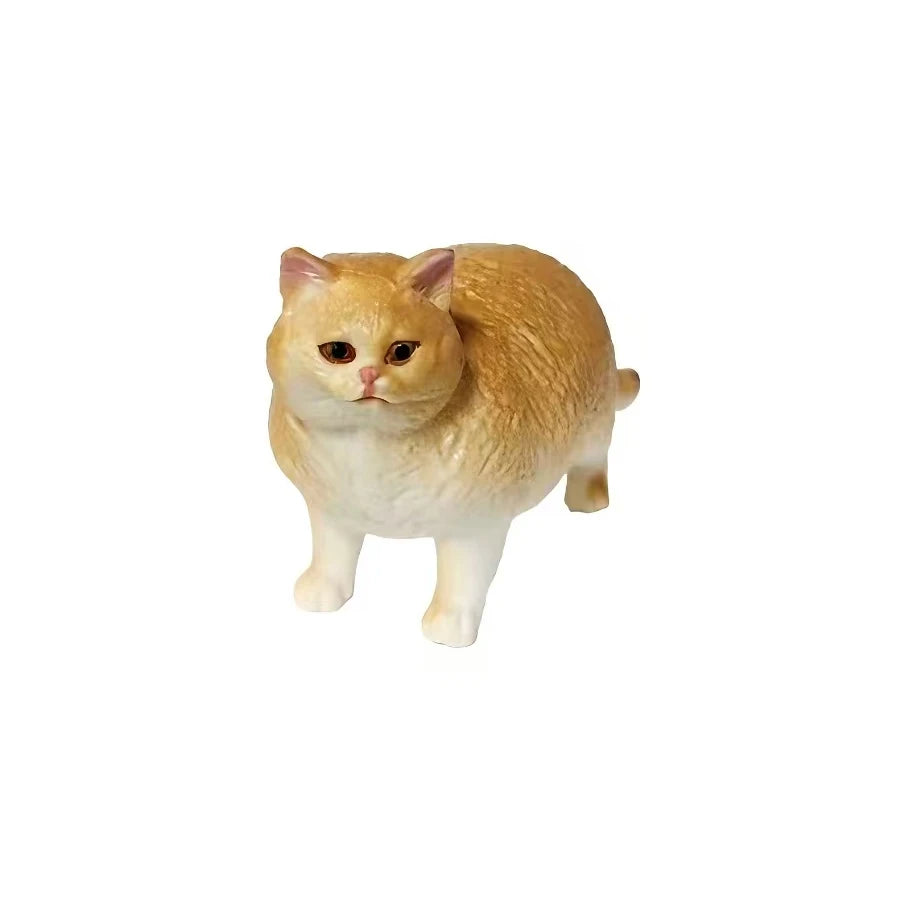 Realistic Ragdoll Cat Figurine and Chubby Cat Model, PVC