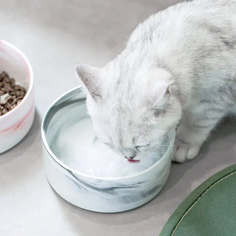 Ciotole per l'acqua per gatti
