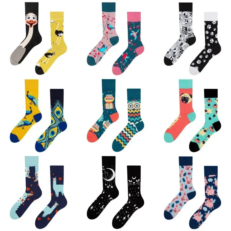 Halloween-Katzensocken