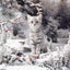 Katzen Wandkunst