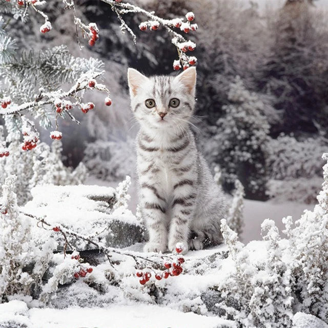Katzen Wandkunst