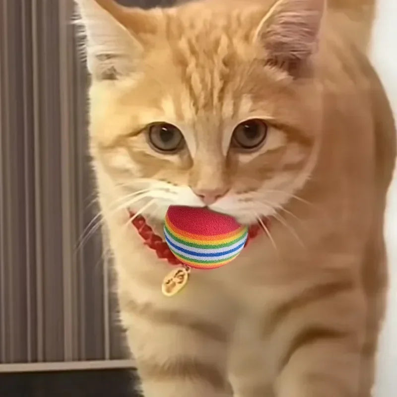 Rainbow Foam Cat Balls, Soft Lightweight Chase Toys in Packs of 10 to 100