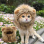King of the House Cat Lion Mane, Funny Gift for Cat Dads