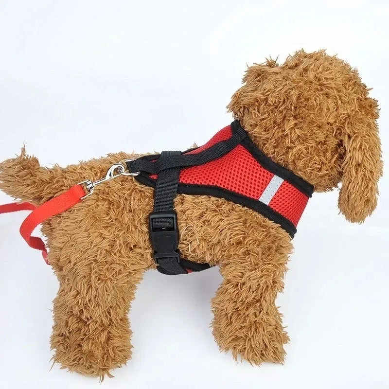 Red Mesh Cat Harness and Leash Set, Bright High-Visibility Vest With Reflective Trim