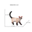 Realistic Ragdoll Cat Figurine and Chubby Cat Model, PVC