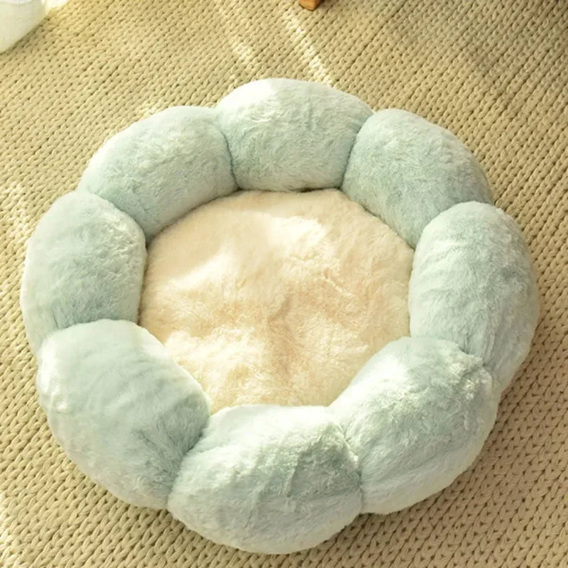 Pat cu flori pentru pisici
