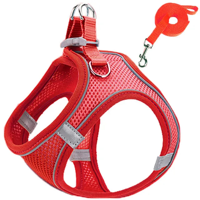 Step-In Cat Harness and Leash Set, Breathable Mesh Vest With Reflective Edges