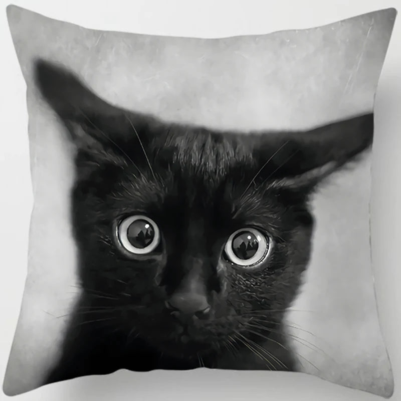 Oreiller chat noir
