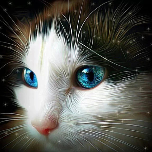 Katzen Wandkunst