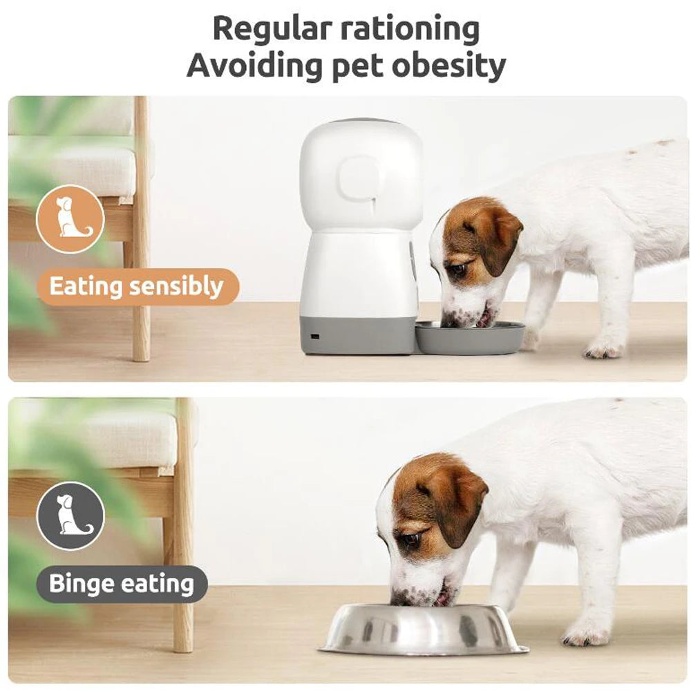 3.5L Automatic Cat Feeder With Timer, Stainless Steel Bowl and Voice Recorder