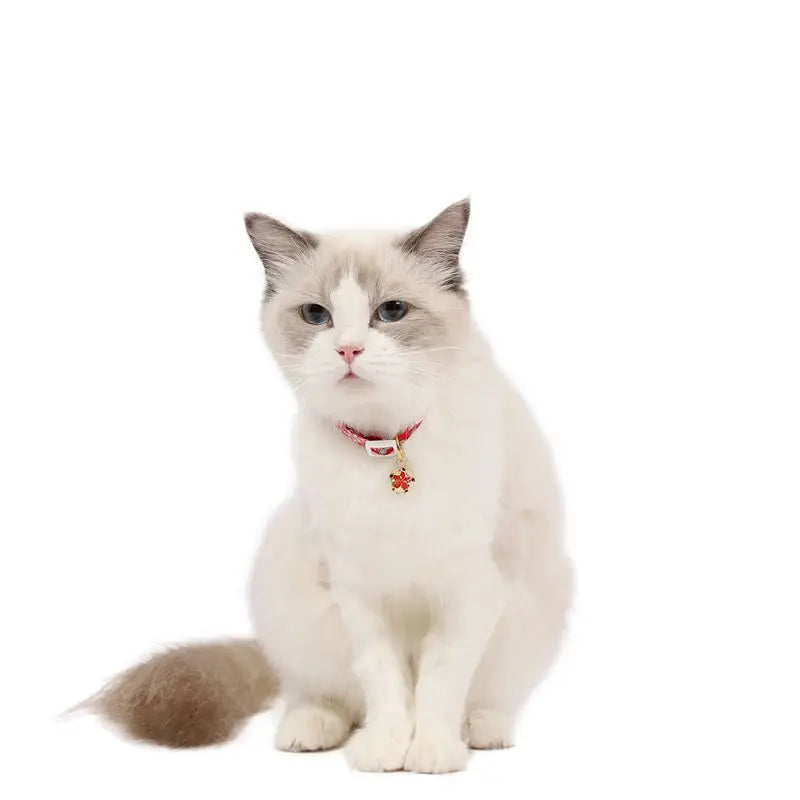 Collari per gatti in cotone