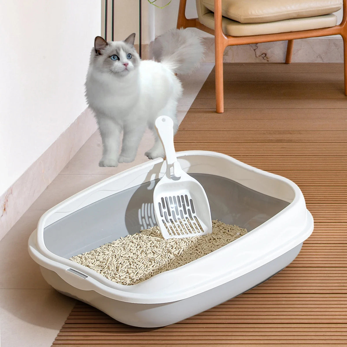 Semi-Open Cat Litter Box With Scoop Hook and Litter Step, Gray