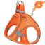 Step-In Cat Harness and Leash Set, Breathable Mesh Vest With Reflective Edges