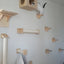 Wall-Mounted Cat Climbing Shelf Set with Bridge and Hammock