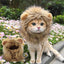 Lion Mane Wig for Cats, Funny Photo Prop for Social Media and Holiday Cards