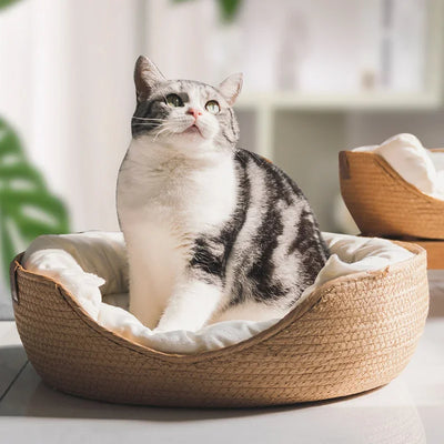 Hand-Woven Cat Bed with Soft Cushion for Indoor Cats