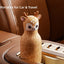 Balon termos pentru pisici