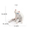 Realistic Ragdoll Cat Figurine and Chubby Cat Model, PVC