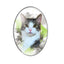 Persian Cat Glass Cabochons, 10 Pack Oval Photo Domes for DIY Jewelry